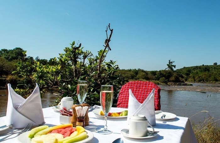 Breakfast table set up in the bush